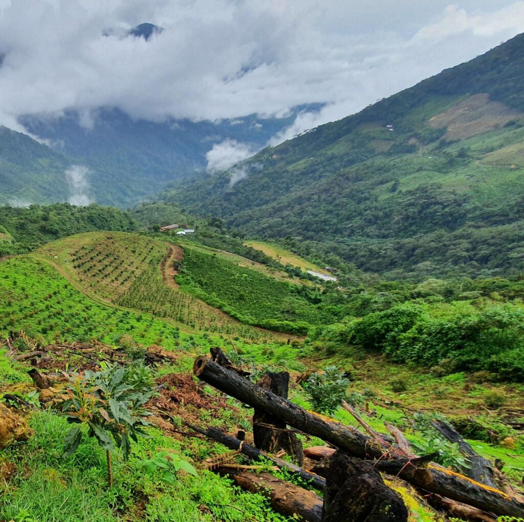 Westfalia’s site in Peru.