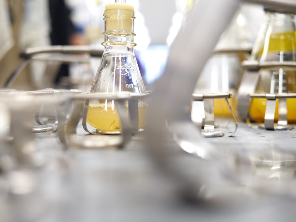 Global Clean-Tech Majors Bioweg and Ginkgo Bioworks to Combat Microplastic Pollution with Bio-Based Materials.