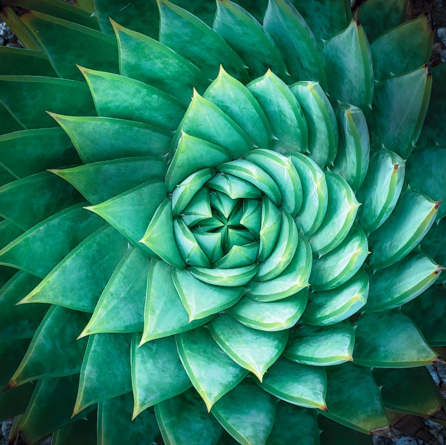 Clariant’s science of sustainable beauty.