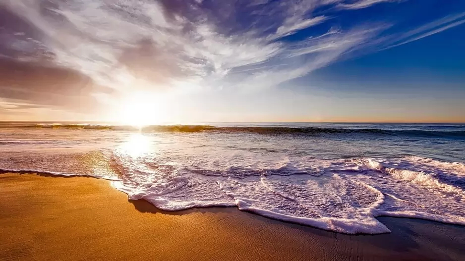 What began as an individual’s battle against plastic soon became a vast movement for politicians and businessmen to forge a new pact between humans and nature.