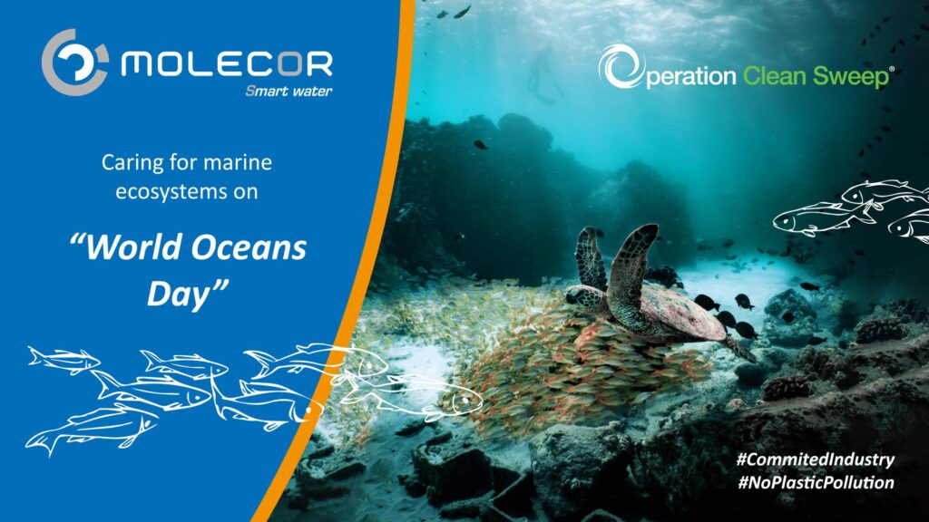 Molecor Joins the Cause to Protect Marine Ecosystems on “World Oceans Day” Thanks to the Operation Clean Sweep Programme.